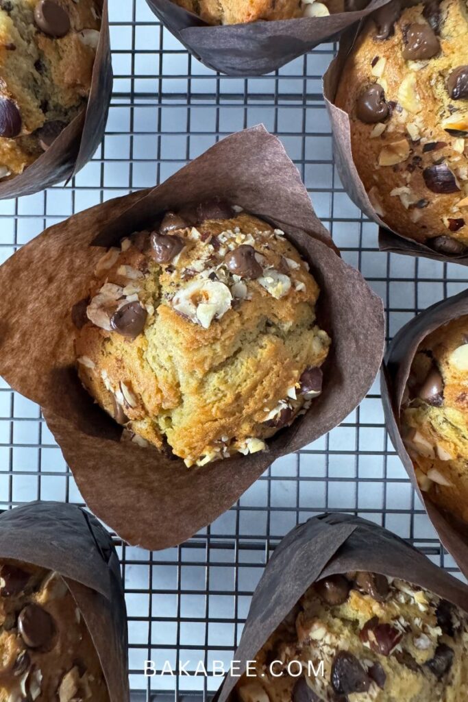 Chocolate Chip Hazelnut Muffins | Bake with Bakabee