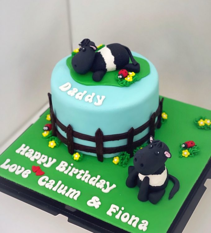 Belted Galloway cow customized cake Singapore