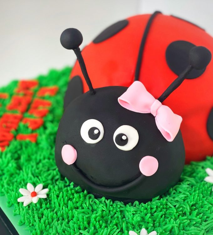 Ladybug 3D cake